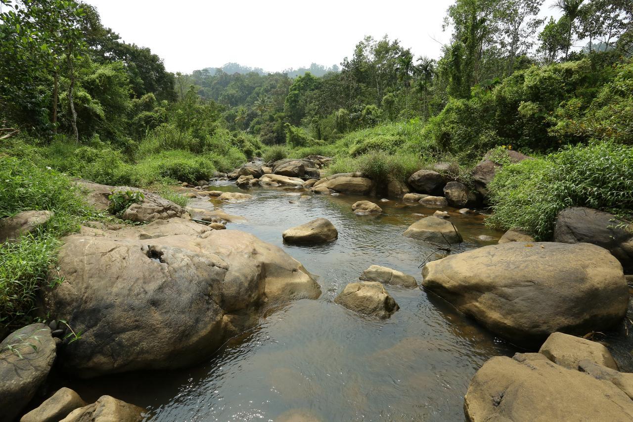 Ayursakthi Riverdale Munnar Dış mekan fotoğraf