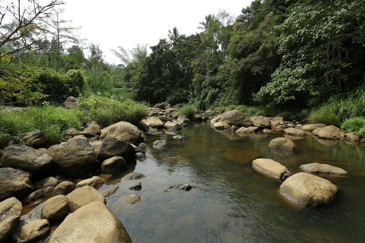 Ayursakthi Riverdale Munnar Dış mekan fotoğraf