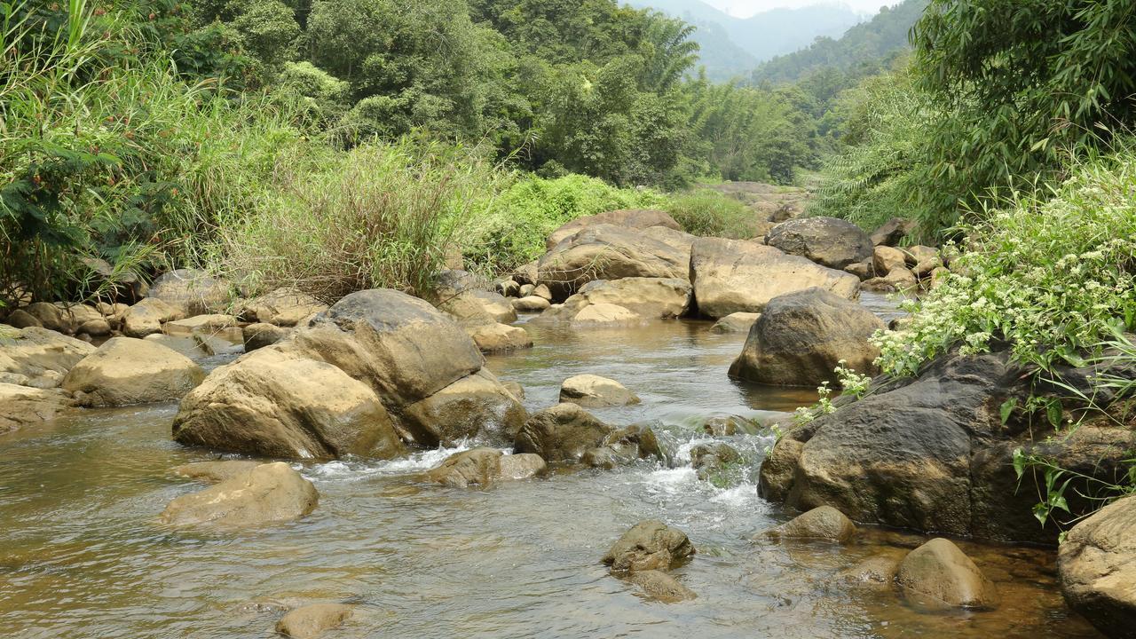 Ayursakthi Riverdale Munnar Dış mekan fotoğraf