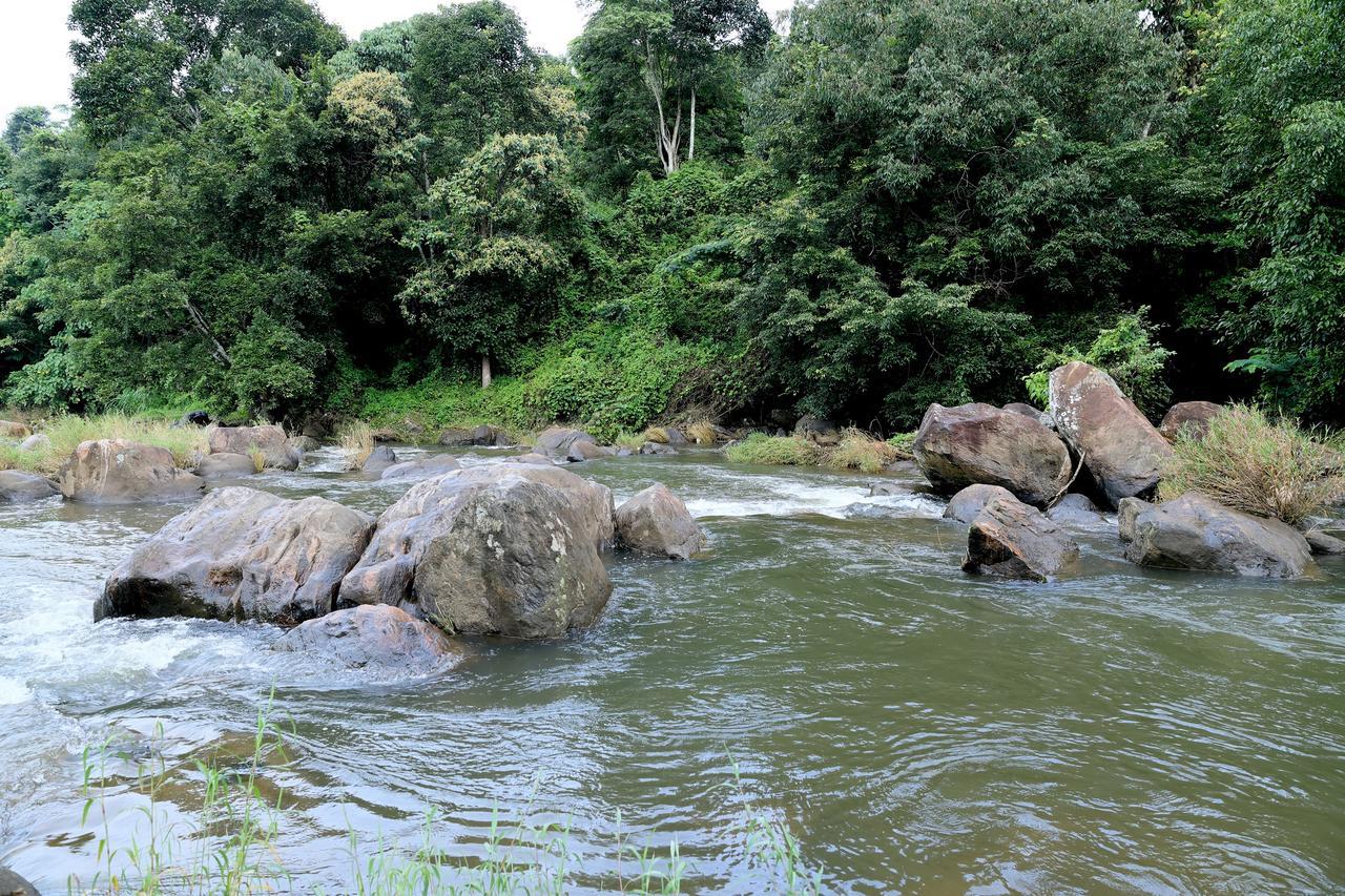 Ayursakthi Riverdale Munnar Dış mekan fotoğraf