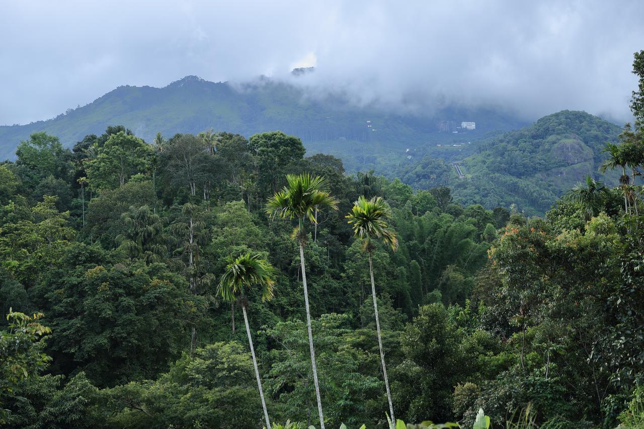 Ayursakthi Riverdale Munnar Dış mekan fotoğraf
