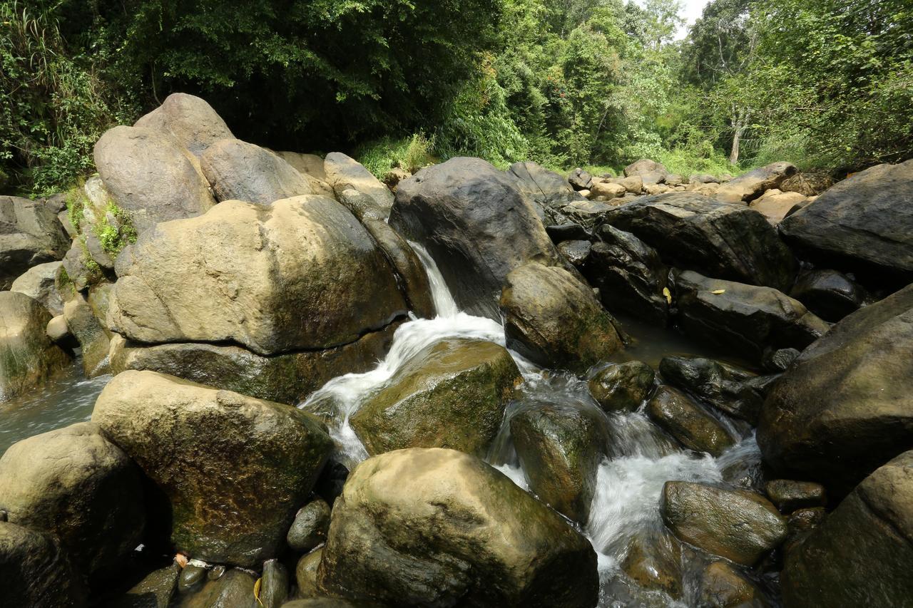 Ayursakthi Riverdale Munnar Dış mekan fotoğraf